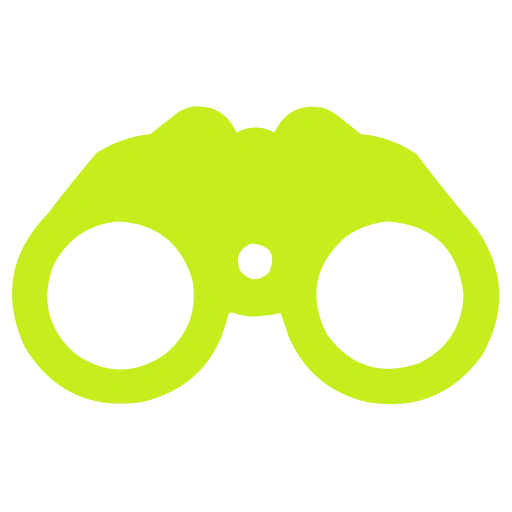 Vision Icon